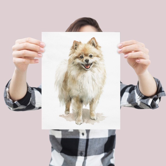 Watercolor Pomeranian Dog Portrait Art Print – Unframed Fine Art Poster - Picture 4 of 5